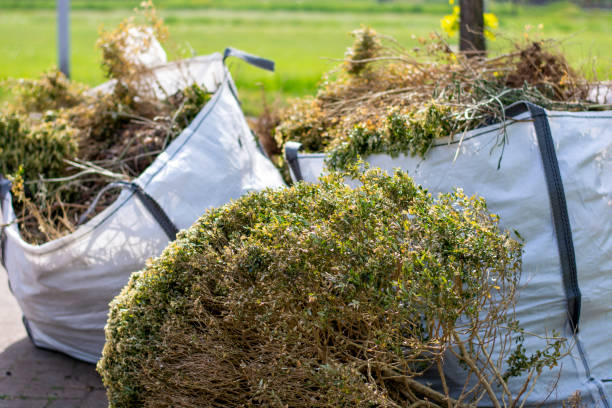 Best Office Junk Removal  in Doniphan, MO
